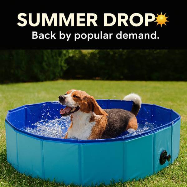 Dog Overheating? CoolPaws™ Pool Is Back in Stock – Act Fast! - Pet Store ED