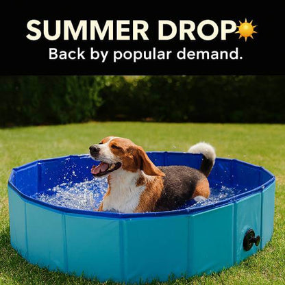 Summer drop pet cooling solution for dogs