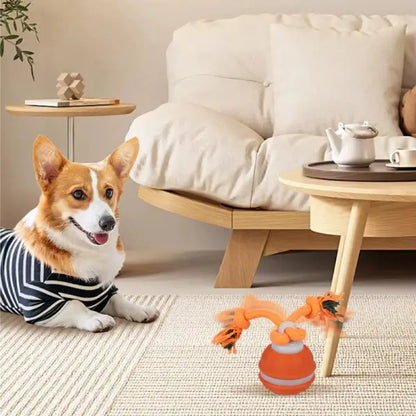 Home play scene featuring interactive dog toys promoting mental stimulation and calm behaviour