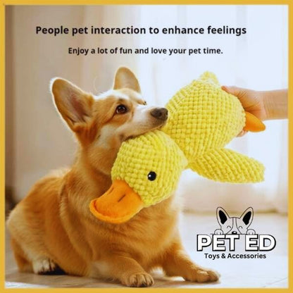 Corgi playing with an interactive calming duck toy