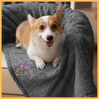 Corgi lying on a gray snuggly waterproof pet blanket indoors, looking happy