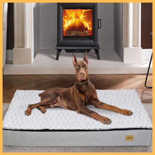Doberman on cozy orthopedic dog bed in front of fireplace indoors