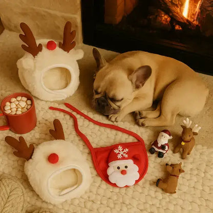 Peaceful dog near festive reindeer costume and Santa bib – Pet Store ED.