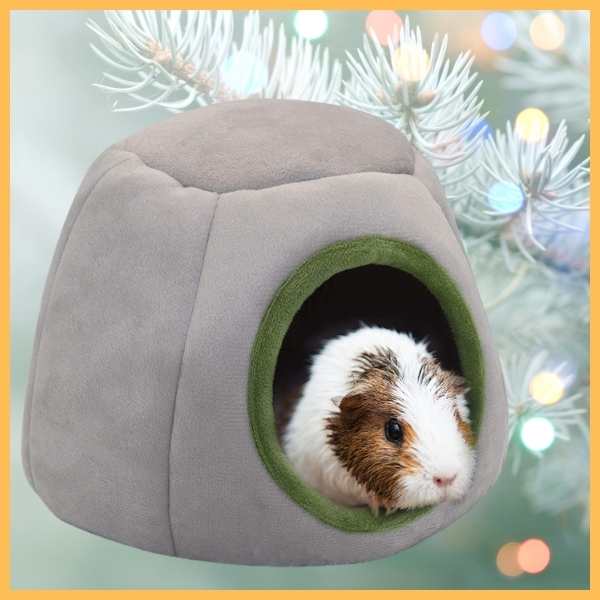 Guinea pig inside a cozy gray hamster bed with green accents, surrounded by festive Christmas lights.