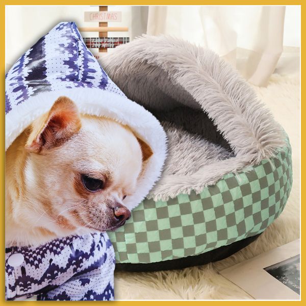 Chihuahua in blue hooded sweater beside cozy green checkered pet bed with fur lining