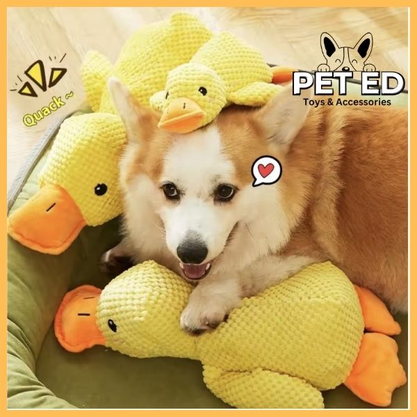 Cute corgi cuddling with yellow calming duck toys on a pet bed, Pet Ed logo visible.