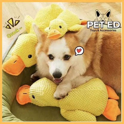 Interactive calming duck toy for happy pets at Pet Store