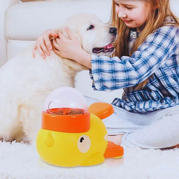 Pet Store ED dog food puzzle toy for mental stimulation.