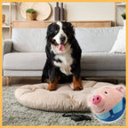 Bernese mountain dog on dog bed with plush pig toy in cozy living room