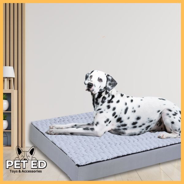 Dalmatian dog lying on orthopedic pet bed in modern living room, PET ED accessories logo visible