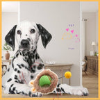 Dalmatian dog indoors with a green smart ball toy, pet store wall art in background