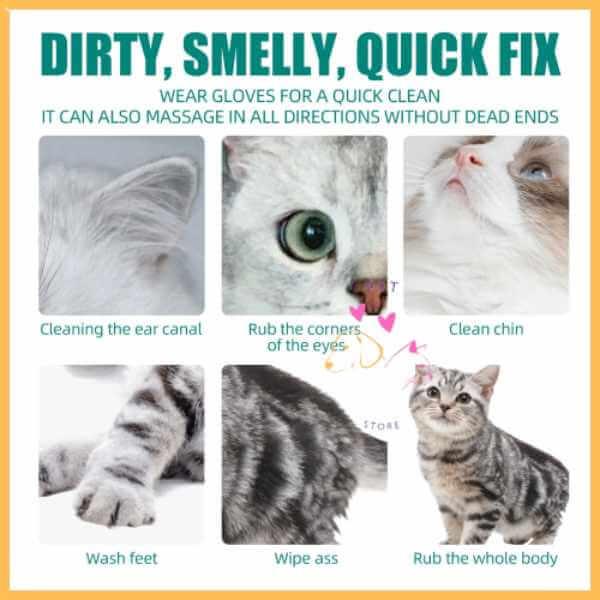 Cat cleaning glove infographic showing cat being cleaned and massaged on different body parts.