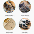 Dirty dog paws, cracked paw pads, paw prints on floor, and dog feet on wood surface