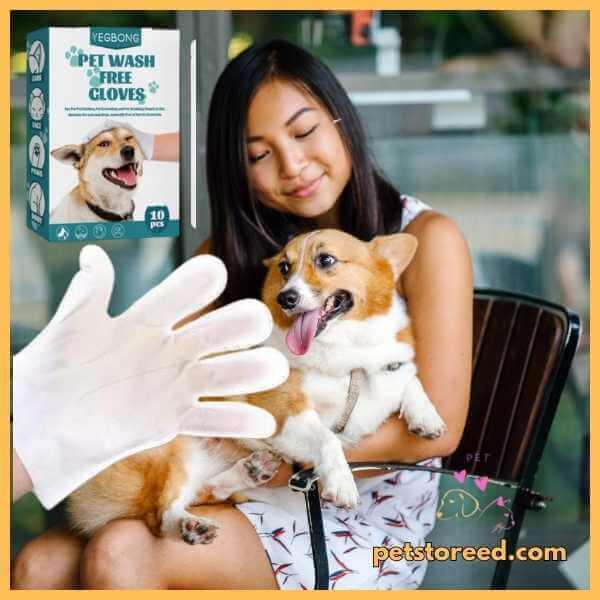 Woman holding a happy corgi, disposable pet cleaning glove and pet wash glove box visible