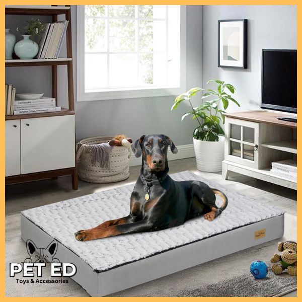 Doberman on large dog bed in modern living room, pet accessories visible