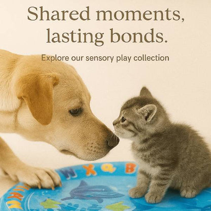 Labrador and cat playing near inflatable water cushion.