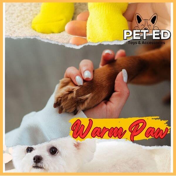 Dog paw in owner's hand, yellow dog socks, and small white dog with 'Warm Paw' text, PET ED brand