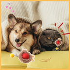Dog and cat under blanket with Smartbol Duo interactive pet toy on yellow sofa