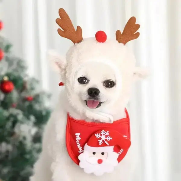 Adorable holiday dog costume with reindeer antlers and Christmas bib.