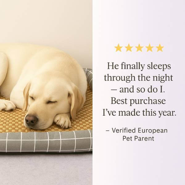 Summer Heat Relief? Try This Rattan Cooling Mat for Dogs|Cats - Pet Store ED