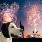 Dog wearing earplugs outdoors with fireworks in the night sky, PET ED logo visible