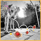 SmartBol:The Ultimate Interactive Dog Ball for Fun & Fitness - Pet Store ED