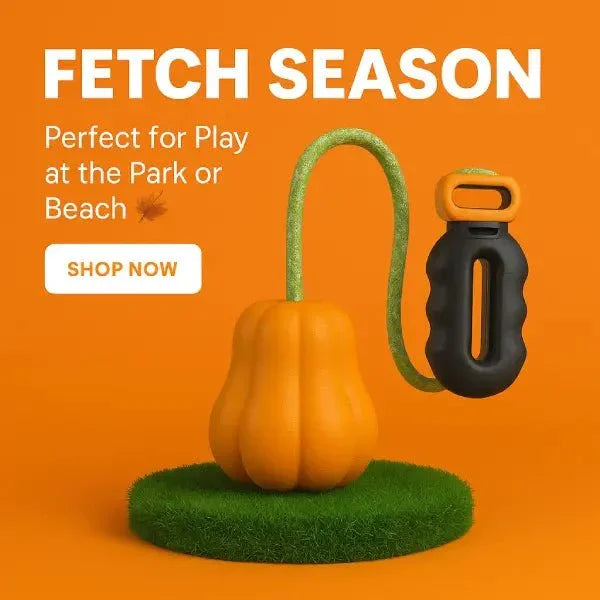 Fetch season dog toy suited for play at the park or the beach