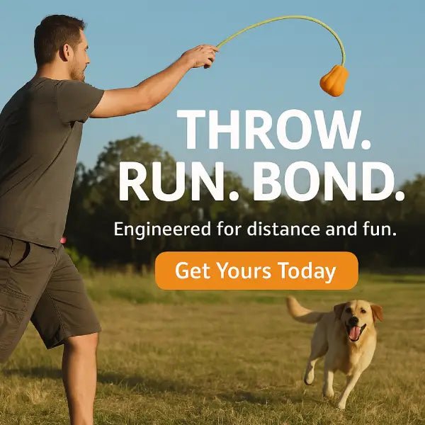 Dog fetch toy engineered for distance throws and active play