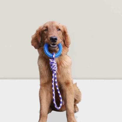 Dog proudly holding blue Ringy, the best buy durable dog toy at Pet Store ED.