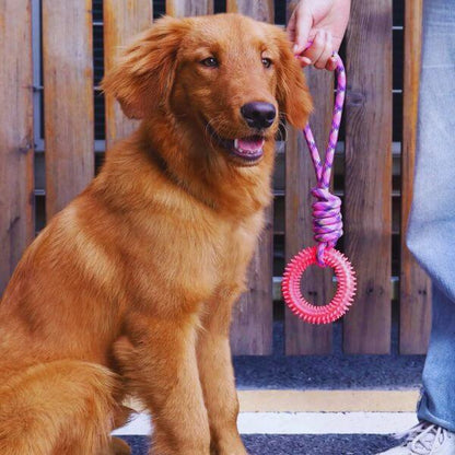 Close shot of dog gripping interactive Ringy chew toy for boredom relief.