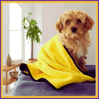 Small dog wrapped in a yellow towel relaxing on a table in a bright, modern room