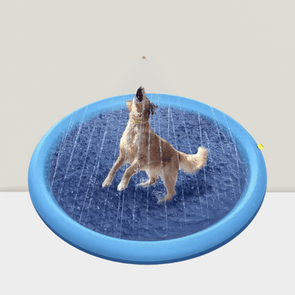 Dog leaping in the air inside a round sprinkler splash pad with water streams.