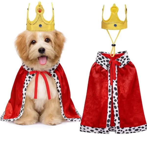 Dog king costume showing a small dog wearing the red cape and gold crown next to the set displayed on its own