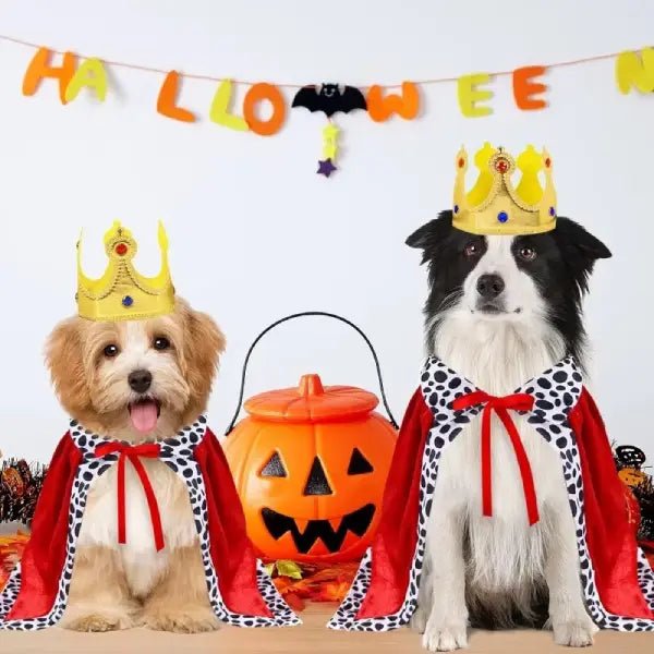 Two dogs wearing dog king costumes with crowns and capes at a Halloween party, with a pumpkin bucket and Halloween banner