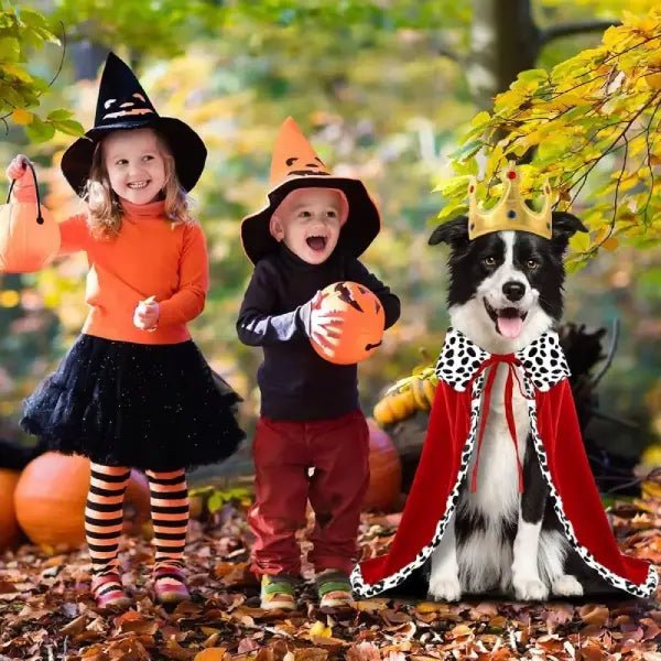 A dog wearing the dog king costume next to two children in witch costumes, in an autumn outdoor setting