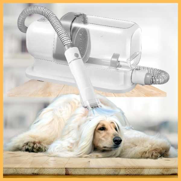 Long-haired dog lying on floor being groomed with a pet grooming vacuum