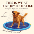 Overheated Dog? 🌞 Cool Them Down Fast with SplashPup Oasis Now! - Pet Store ED