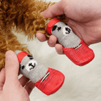 Tired of Cleaning Your Dog’s Wet & Dirty Paws? Try This! - Pet Store ED