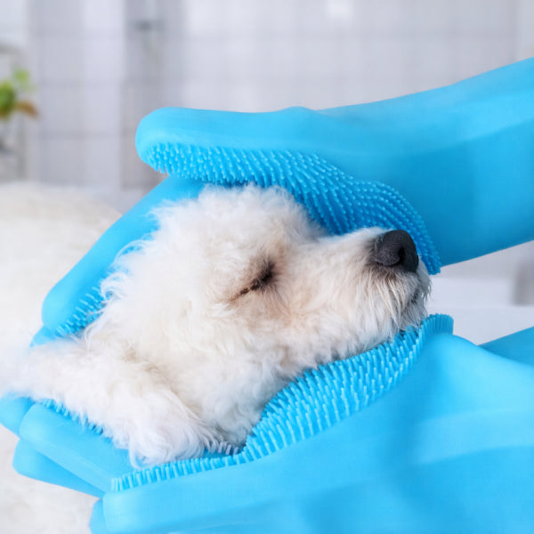 Bath brush for dogs reducing stress and shedding