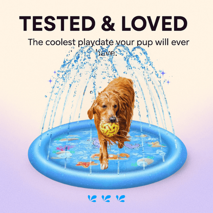 Energetic dog enjoying outdoor water play on a sunny day.