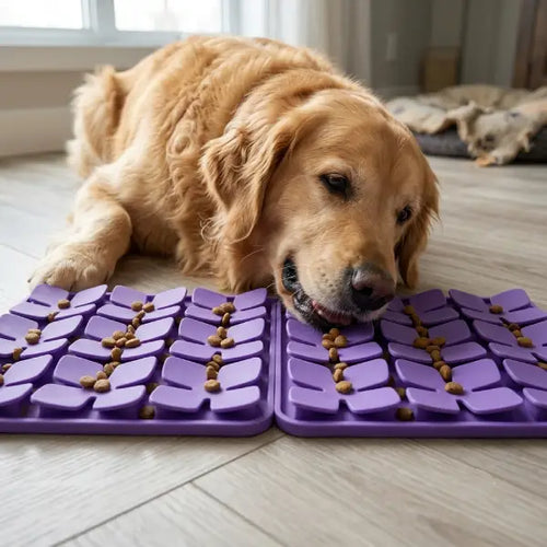 A Snuffle Mat for Dogs to Slow Down Mealtime Naturally