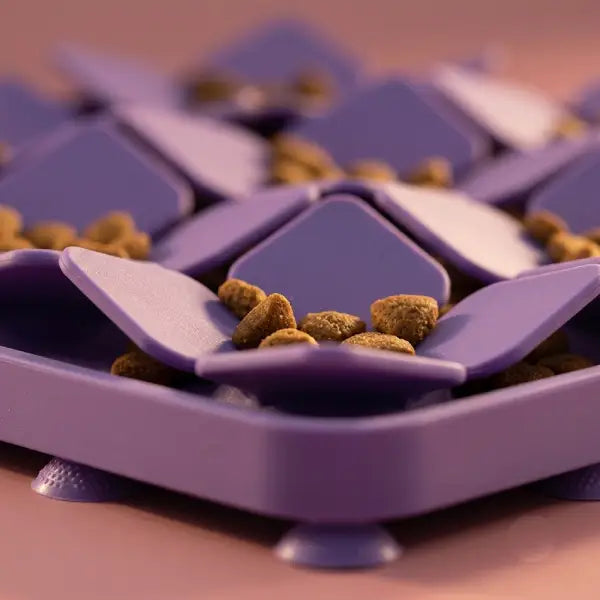 A Snuffle Mat for Dogs to Slow Down Mealtime Naturally