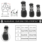 Tired of Cleaning Your Dog’s Wet & Dirty Paws? Try This! - Pet Store ED