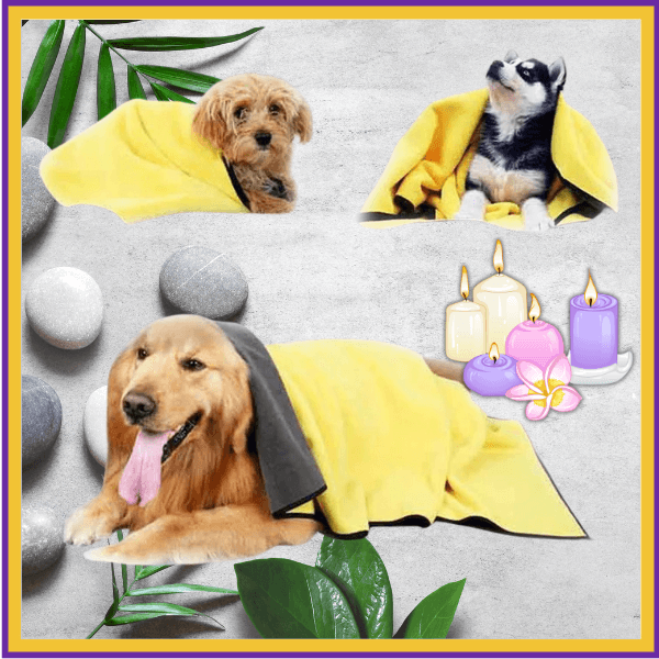 Dogs wrapped in yellow microfiber towels at a spa setting with candles, stones, and leaves