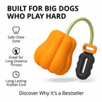 Toy for big dogs with a chew-resistant pumpkin and long-distance throw handle