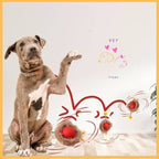 Dog training with SmartBol interactive toy in a pet store setting, playful pet wall art