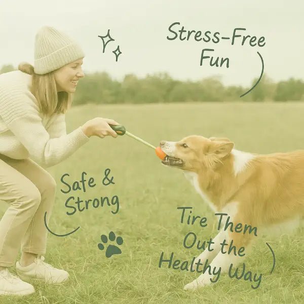 Woman playing tug with a large dog using a safe and strong pet toy outdoors