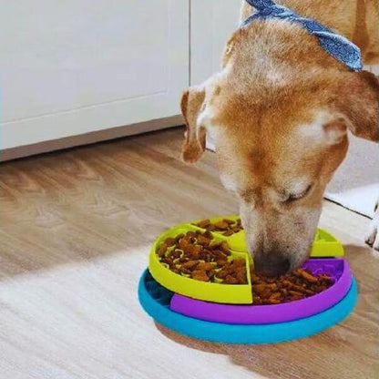 Dog calmly eating from slow feeding bowl