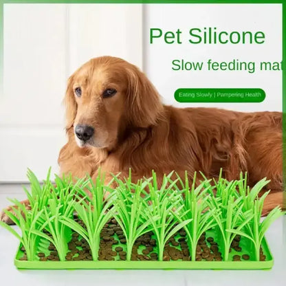 Fast Eating Hurts Pets—Here’s How to Fix It Gently | Dog