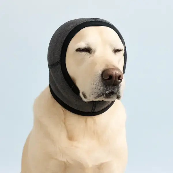 Anti-stress ear cover for dogs shown on calm pet with closed eyes.